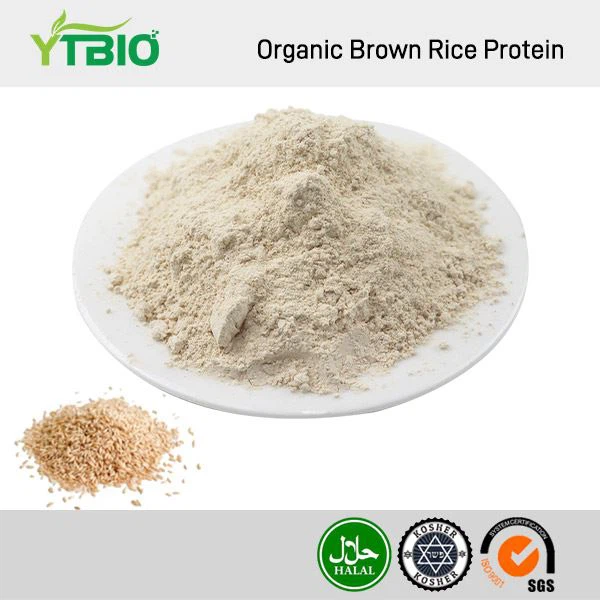 Protein Beras Merah Organik