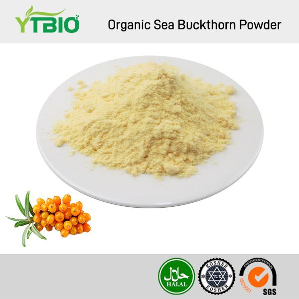Bubuk Sea Buckthorn Organik
