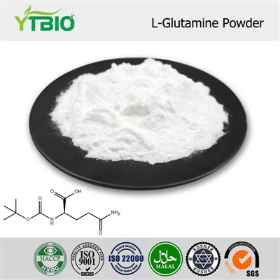 Bubuk L-Glutamin Massal
