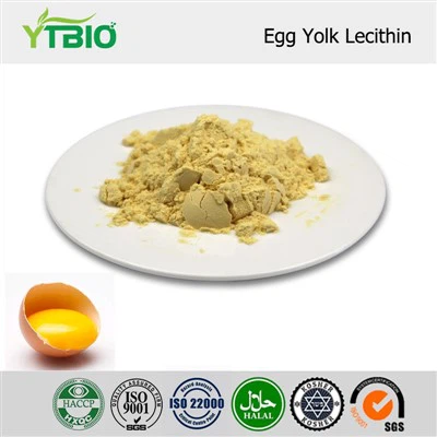 Bubuk Lesitin Kuning Telur