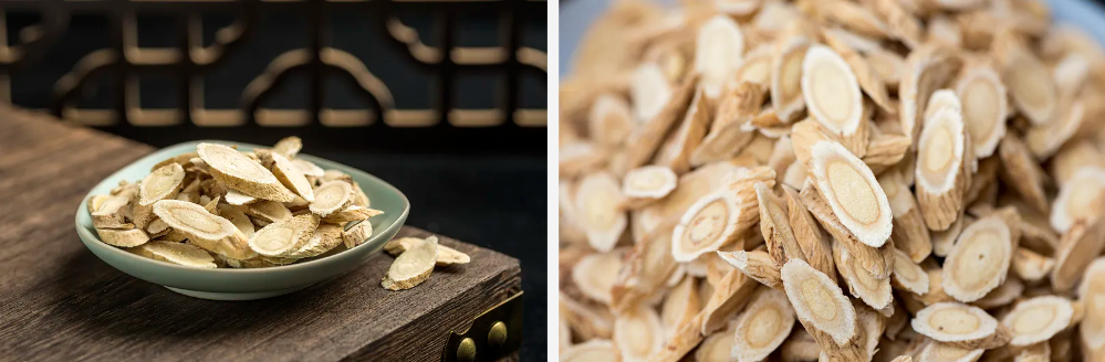 Astragalus Root Extract Astragalus Root Extract