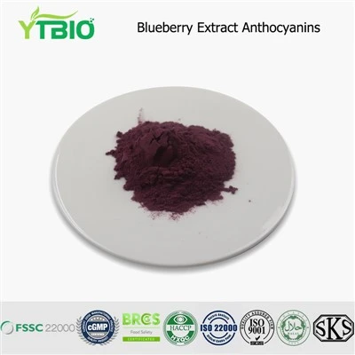 Ekstrak blueberry anthocyanin